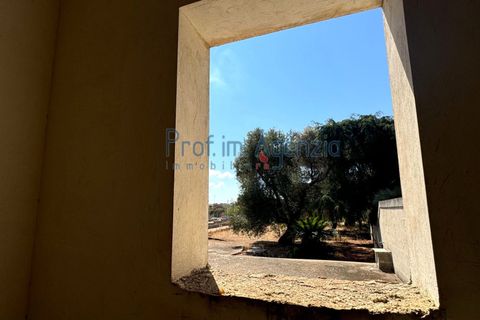 Villa i Carovigno, Brindisi, Carovigno - € 415.000 | Ref: 122738 - foto 16